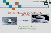 ENFERMEDAD DE CHAGAS MAZZA Bioq. Ana Paula Martín Bioq. María Cecilia Reyes.