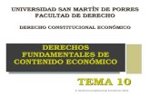 © Derecho Constitucional Económico 2011 DERECHOS FUNDAMENTALES DE CONTENIDO ECONÓMICO TEMA 10 UNIVERSIDAD SAN MARTÍN DE PORRES FACULTAD DE DERECHO DERECHO.