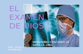 EL EXAMEN DE DIOS POR : GILDA T. DOMÍNGUEZ MINISTERIO CRISTIANO LA SEMILLA.ORG.
