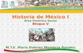 1 Historia de México I Área Histórico Social Bloque V M.T.E. María Dolores Mendoza Rosales.