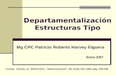 Departamentalización Estructuras Tipo Enero 2007 Fuente: Koontz, H., Wehlrich,H., “Administración”, Mc Graw Hill, 1994, pág. 266-289 Mg CPC Patricio Roberto.