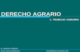 Dr. MARCELO BREARD FACULTAD DE DERECHO UNIVERSIDAD NACIONAL DEL NORDESTE DERECHO AGRARIO 1. TRABAJO AGRARIO.