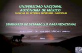 UNIVERSIDAD NACIONAL AUTÓNOMA DE MÉXICO FACULTAD DE ESTUDIOS SUPERIORES CUAUTITLÁN SEMINARIO DE DESARROLLO ORGANIZACIONAL EXPOSITOR: DR. GERARDO SÁNCHEZ.