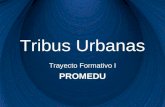 Tribus Urbanas Trayecto Formativo I PROMEDU. ADOLESCENTES.