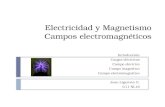 Electricidad y Magnetismo Campos electromagnéticos Introducción Cargas eléctricas Campo eléctrico Campo magnético Campo electromagnético Joan Ligarreto.