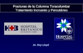 Fracturas de la Columna Toracolumbar Tratamiento Incruento y Percutáneo Dr. Ruy Lloyd.