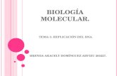 BIOLOG Í A MOLECULAR. BRENDA ARACELY DOMÍNGUEZ ARVIZU 205227. TEMA: 3. REPLICACIÓN DEL DNA.