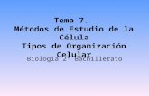 Tema 7. Métodos de Estudio de la Célula Tipos de Organización Celular Biología 2º Bachillerato.