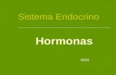 Hormonas Sistema Endocrino 2015. Contenido  Concepto  Comunicación intercelular  Glándulas endócrinas  Clasificación química  Propiedades de las.