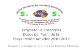 Proyecto Guardarenas Datos del Perfil de la Playa Peñón Amador 2010-2011 Maestra consejera- Brenda Lee Estévez Moreno.