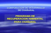 CORPORACION DE DESARROLLO DE CHAÑARAL PROGRAMA DE RECUPERACION AMBIENTAL PARA CHAÑARAL.