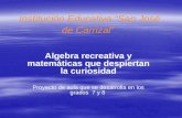 Institución Educativa “San José de Carrizal” Algebra recreativa y matemáticas que despiertan la curiosidad Proyecto de aula que se desarrolla en los grados.