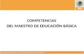 COMPETENCIAS DEL M AESTRO DE E DUCACIÓN B ÁSICA. APRENDER A APRENDER Uno de los objetivos más valorados y perseguidos en la educación es enseñar a los.