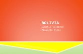 BOLIVIA Cynthia Calderon Proyecto Final. GEOGRAFÍA  Mi país para mi proyecto es llama Bolivia.  La capital de Bolivia es La Paz.  Los colores de la.