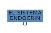EL SISTEMA ENDOCRINO. INTRODUCCIÓN  El Sistema Endocrino, constituido por glándulas, libera hormonas a la sangre, que producen regulación, coordinación.