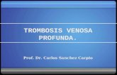 TROMBOSIS VENOSA PROFUNDA. Prof. Dr. Carlos Sanchez Carpio.