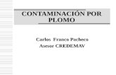 CONTAMINACIÓN POR PLOMO Carlos Franco Pacheco Asesor CREDEMAV.