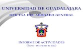 UNIVERSIDAD DE GUADALAJARA OFICINA DEL ABOGADO GENERAL INFORME DE ACTIVIDADES (E nero - Diciembre de 2002 )