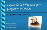 Leyes de la Herencia por Gregor J. Mendel El padre de la Genética Por: Samary Santiago Priscilla E. Galarza Prof: Miguel Morales.