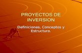 PROYECTOS DE INVERSION Definiciones, Conceptos y Estructura.