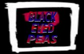 The Black Eyed Peas se han convertido en el grupo internacional del momento. En España ya han superado la friolera de las 50.000 copias vendidas. Los.