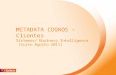 &numero METADATA COGNOS - Clientes Sistemas/ Business Intelligence (Curso Agosto 2011)