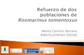 Marta Camino Serrano Alberto Jiménez Gómez.  Introducción  Descripción de Rosmarinus tomentosus  Riesgos y agentes de perturbación  Elección del tipo.
