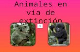 Animales en vía de extinción Presentado por: Elizabeth Palacio Urrego Grado: 4°b.