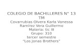 COLEGIO DE BACHILLERES N° 13 TM Covarrubias Olvera Karla Vanessa Ramírez Vera Guillermo Materia: tic III Grupo: 310 tercer semestre “Los Jonas Brothers”