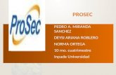PROSEC PEDRO A. MIRANDA SANCHEZ DEYSI ARIANA ROBLERO NORMA ORTEGA 10 mo. cuatrimestre Inpade Universidad.