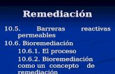 Remediación 10.5. Barreras reactivas permeables 10.6. Bioremediación 10.6.1. El proceso 10.6.2. Bioremediación como un concepto de remediación.