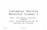 TrujilloConceptos1 Conceptos Básicos Material Examen 1 Prof. Ana Delia Trujillo-Jiménez Univ. Interamericana de PR Recinto de Fajardo.