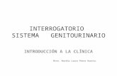 INTERROGATORIO SISTEMA GENITOURINARIO INTRODUCCIÓN A LA CLÍNICA Mtte. Martha Laura Pérez Huerta.