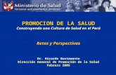 PROMOCION DE LA SALUD Construyendo una Cultura de Salud en el Perú Retos y Perspectivas Dr. Ricardo Bustamante Dirección General de Promoción de la Salud.