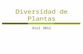Diversidad de Plantas Biol 3052. Plantas: Por más de 3 billones de años la superficie de la tierra estuvo sin vida. Desde que colonizaron la tierra, las.