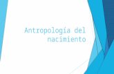 Antropología del nacimiento. Introducción  La Antropología se caracteriza por incorporar los elementos socioculturales en la comprensión y análisis de.