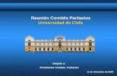 12 de diciembre de 2008 Reunión Comités Paritarios Universidad de Chile Dirigido a: Presidentes Comités Paritarios.