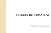 COLINAS DE ROMA V-VI Pilar González Serrano. V-VI.