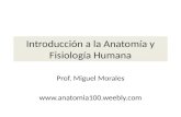 Introducción a la Anatomía y Fisiología Humana Prof. Miguel Morales .