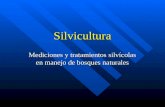 Silvicultura Mediciones y tratamientos silvícolas en manejo de bosques naturales.