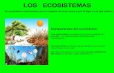 LOS ECOSISTEMAS Un ecosistema está formado por un conjunto de seres vivos y por el lugar en el que habitan. Componentes del ecosistema:  Los seres vivos.