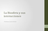 La Biosfera y sus interacciones Profesora Lucía Muñoz.