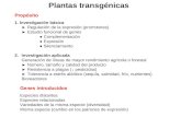 Plantas transgénicas Propósito 1. Investigación básica ► Regulación de la expresión (promotores) ► Estudio funcional de genes ● Complementación ● Expresión.