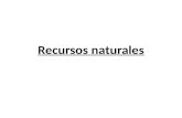 Recursos naturales. Concepto de recurso natural Recurso natural Conjunto de elementos proporcionados por el medio natural susceptibles de ser aprovechados.