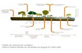Modelo de restauración ecológica. Política Pública Distrital de Humedales de Bogotá DC 2005 2006.
