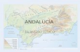 ANDALUCÍA EL MEDIO FÍSICO. El medio físico de Andalucía Unidades de relieve - Sierra Morena: al norte. Formada por diferentes sierras desde el norte de.
