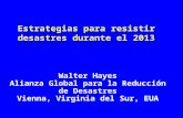 Estrategias para resistir desastres durante el 2013 Walter Hayes Alianza Global para la Reducción de Desastres Vienna, Virginia del Sur, EUA.