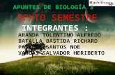 APUNTES DE BIOLOGÍA 3 SEXTO SEMESTRE INTEGRANTES : ARANDA TOLENTINO ALFREDO BATALLA BASTIDA RICHARD PASCUAL SANTOS NOE VARGAS SALVADOR HERIBERTO.