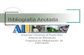 American University of Puerto Rico Sistema de Bibliotecas Programa de Alfabetización de Información Bibliografía Anotada.