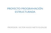 PROYECTO PROGRAMACIÓN ESTRUCTURADA PROFESOR: VICTOR HUGO NIETO ELIZALDE.
